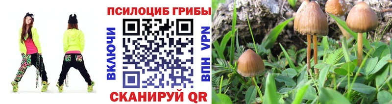 Галлюциногенные грибы прущие грибы  Купить где  Мелеуз 